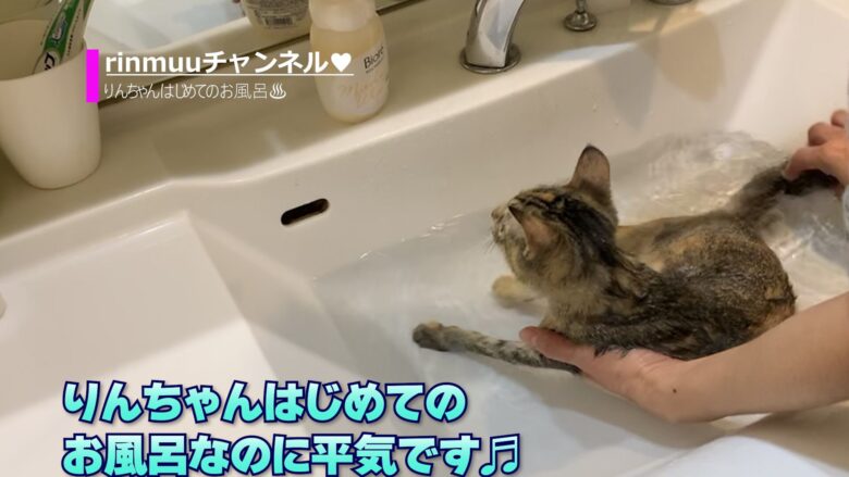 りんちゃんのはじめてのお風呂2