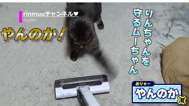 猫やんのか4