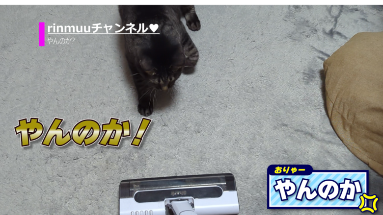 猫やんのか3