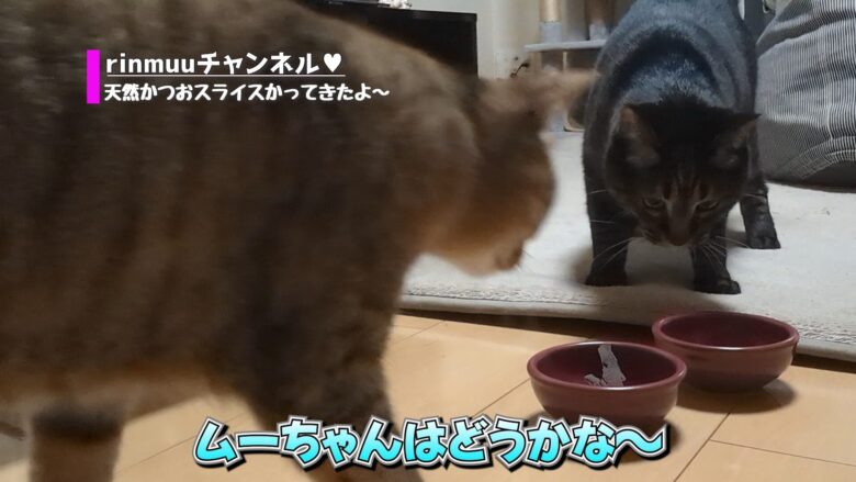 りんちゃんは食べなかったけどムーチャンは?