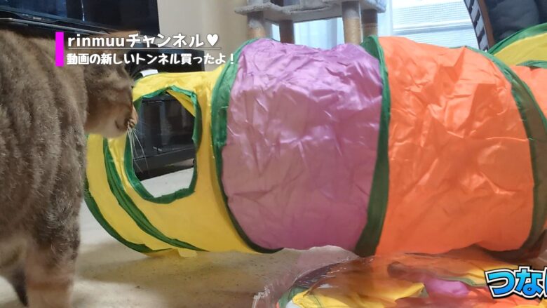 組み立て式トンネル