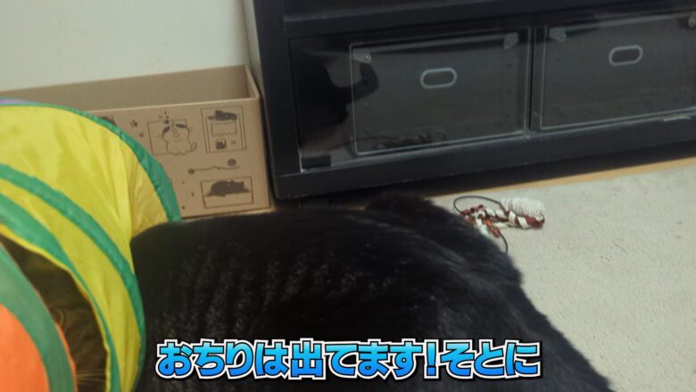 おちりは外なムーちゃん