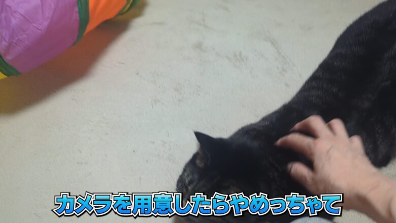 カメラを用意したらやめちゃった