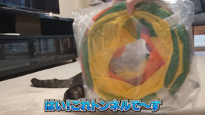 トンネル買ったよ