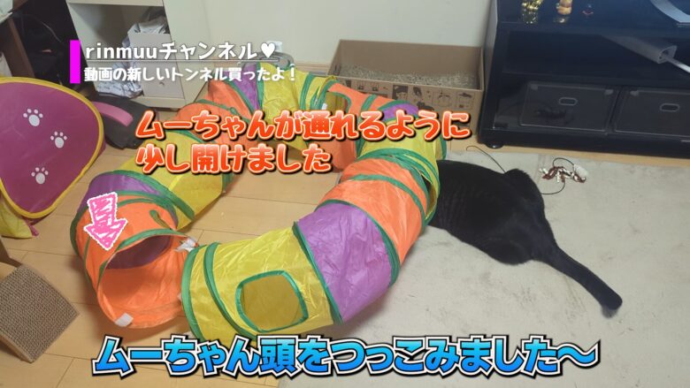 ムーちゃんの為に1カ所あけました