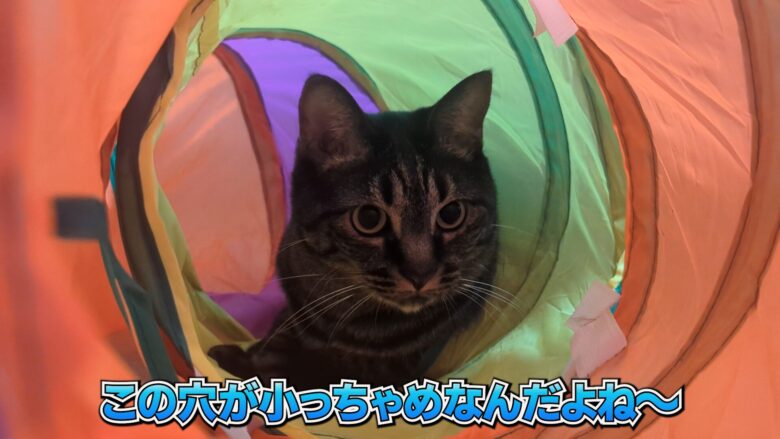 頭を突っ込んだムーちゃん