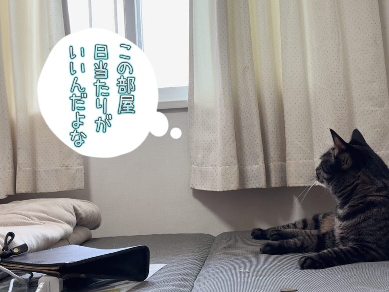 日当たりがいい
