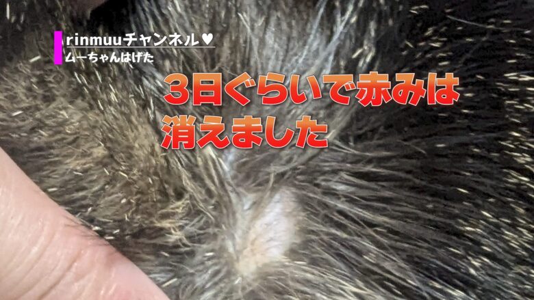 赤みが消えました