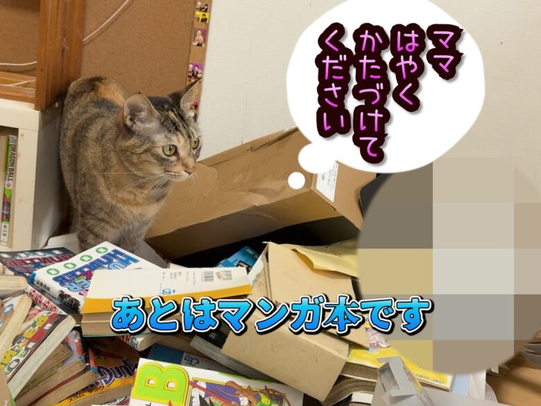 りんちゃんマンガ本に埋もれる