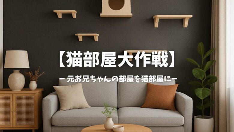 猫部屋大作戦