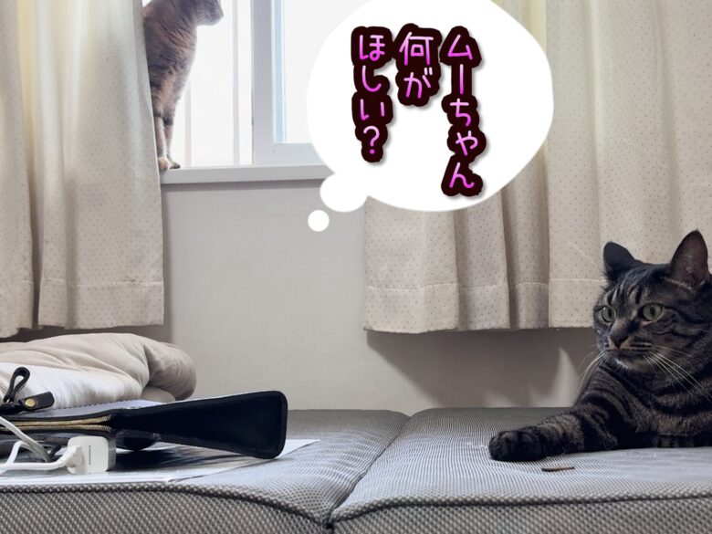 ムーちゃん何がほしい?