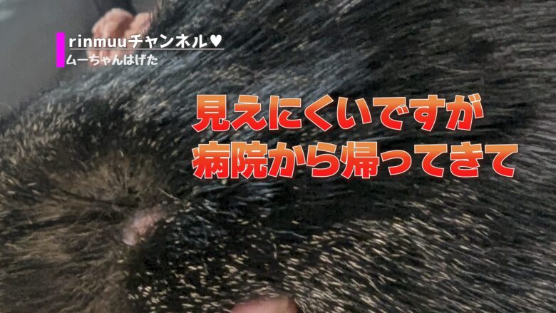 病院から帰ってきて